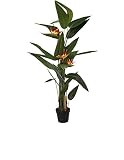 Pu DRW Planta Artificial del Ave del paraíso en Verde y Rojo Anaranjado 180cm