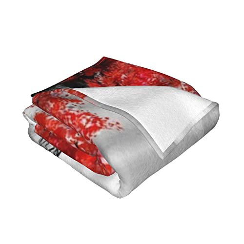 Ultra-Soft Micro Fleece Throw Blanket,Eiffel Tower Romantic Lover Paris European Landscape France Eiffel Tower,Warm Decorative Throw Blanket For Bed Couch Sofa Chair Living Room Bedroom 60" X 50" #TOP2