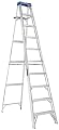 Louisville Ladder AS2110, 10-Feet, AS The Picture Shown