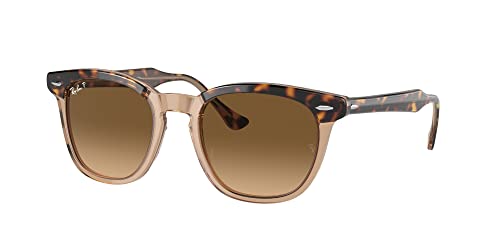 Ray-Ban RB2298 Sunglasses Bundle: RB 2298 HAWKEYE 1292M2 Hawkeye Havana On Transparent and Universal Anti-slip Silicone Leash