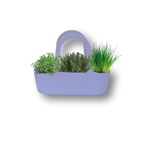 P. Piantine da Orto | Aromibag Lilla Composta da 3 Aromi: Timo, Erba Cipollina, Origano, Piante Vere, Idea Regalo, Vivaio Italiano