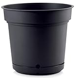 Bonussi