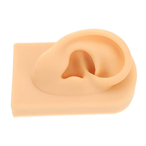 Baluue Realistic Human Ear Model Perfect for Piercing Practice Ear Mold Making