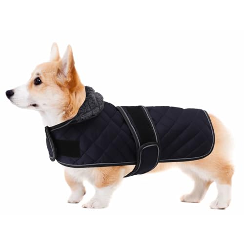Geyecete Corgi Sweater for Dogs Warm Thermal Quilted Corgi Coat,Dog Winter Coat with Warm Fleece Lining,Outdoor Corgi Clothes Dog Apparel Navy-M