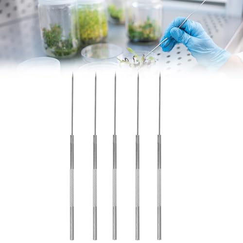 Agujas de Disección, Aguja de Disección de Acero Inoxidable, Agujas Enmangadas Laboratorio, Kit de Experimento de Aguja de Disección, para Experimento de Disección de Insectos, 5 Piezas