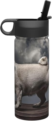 KĂ pO ʔ   ^fM ۉ ۗ X|[c{g lC XeX{g X|[cΉ RȂ 530ml j̎q ̎q  l q v[g