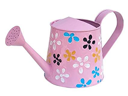 Royal Baskets 2 litres Hand Painted Metal planters Oval Watering Can - Rust Free Home Decor Gifting, Garden, Gardening, Tools ( Pack of 1 ) (Pink)