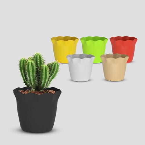 Image of YUCCABE ITALIA SHERA 6 Inch Plastic Flower Pot 6 Piece Set of Unbreakable Round Shape Planter for Home Garden Seedling, Indoor and Outdoor (Multicolor)