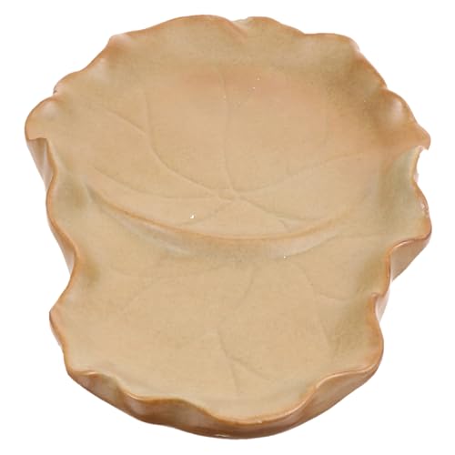 POPETPOP Bandeja de para Macetas con Base de Soporte Resistente Manchas para Plantas de Interior y Bonsáis para Hogar y Oficina