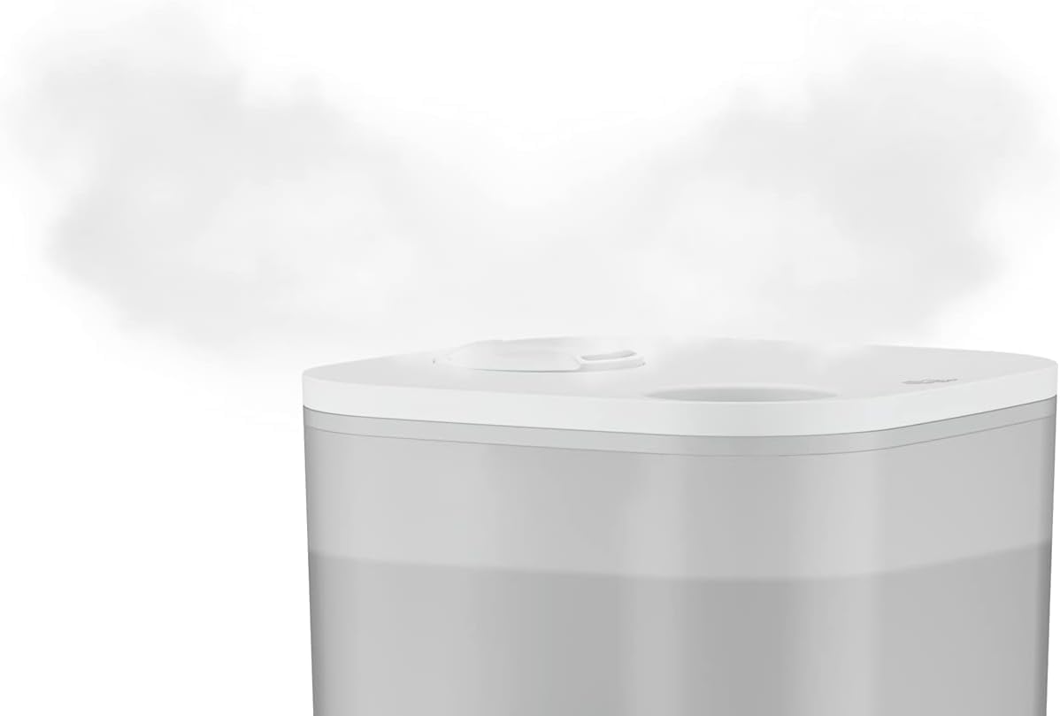 Rowenta Aqua Boost, Humidificador de 2,5 L, 3 programas, vapor caliente, compacto, silencioso 30 dBA, hasta 15 h de funcionamiento, temporizador hasta 12 h, apagado automático, HU4020
