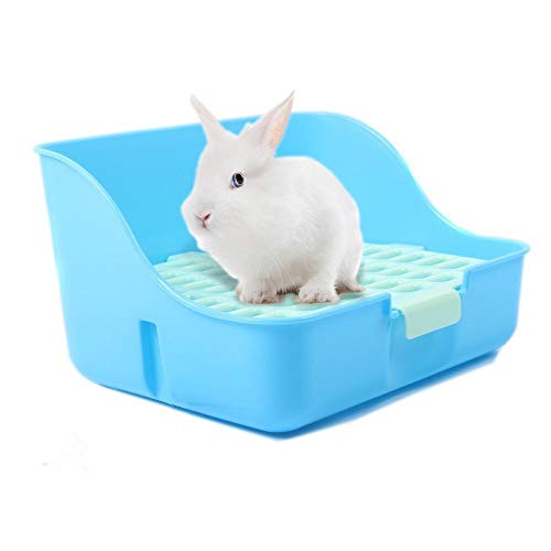 Is Cat Litter Safe For Rabbits? What're The Dangers?