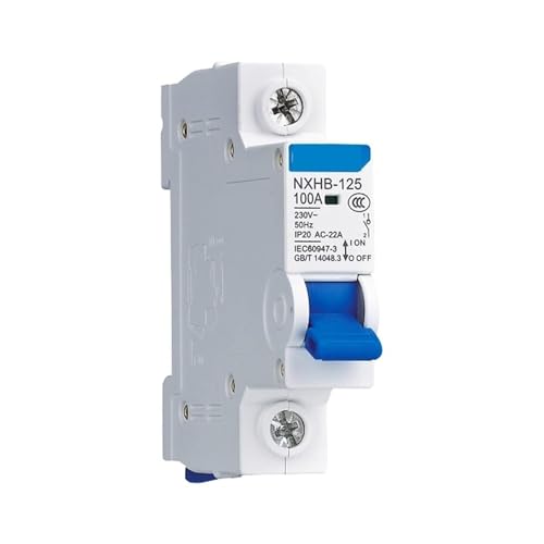 Interrupteur NXHB-125 disjoncteur d'isolement 2P 40A robuste
