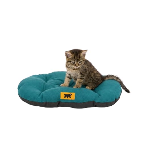 Ferplast Cuccia Cane Relax, Cuscino per cani di taglia piccola, Cuccia Gatto, Tappetino per cucce e auto -Lavabile - in Cotone con Soffice Imbottitura, 43 x 30 cm. Turchese