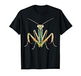 Regalo para amantes de las mantis religiosas