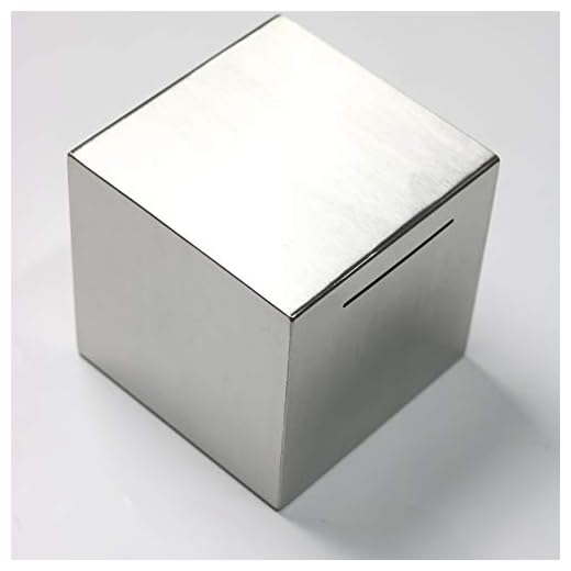 24H 5.9-inch Stainless Steel No-Outlet Piggy Bank for Adults, Exist Only to Save Money, Meaningful Gifts for a Kid/Baby, Saving Now for a Brighter Future