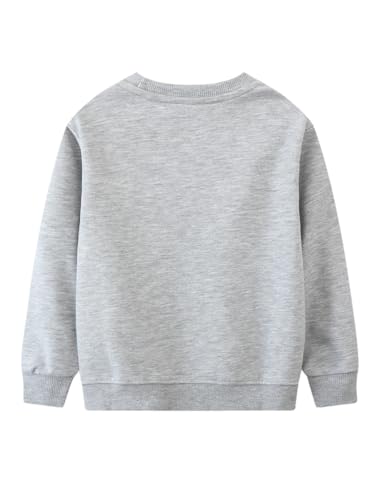 Boys Sweatshirts Casual Sweatshirts Cotton Sweatshirts Long Sleeve T-shirts Crew Neck Cartoon Tops for Boys-82