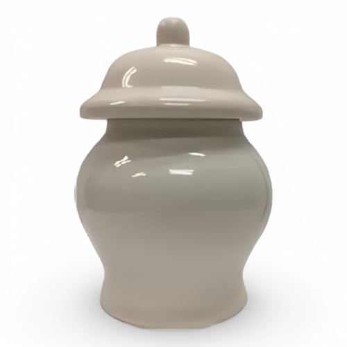 Porcelain Tureen - Sopera Ibeyis, Jimagua, 5