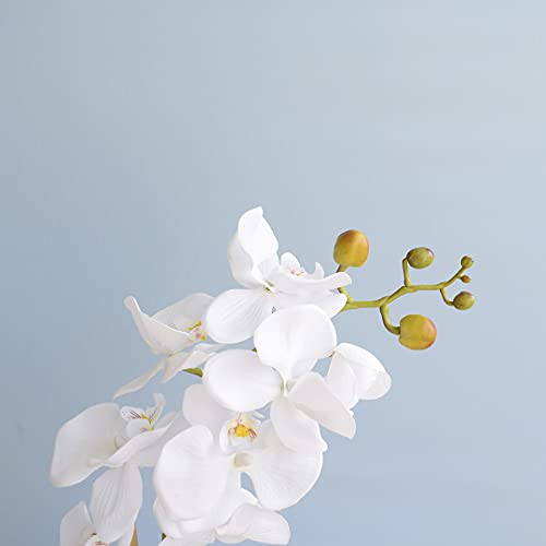 Kit com 2 Arranjos Flor Artificial Orquídea Branca e Peperômia no Vaso de Vidro