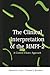 The Clinical Interpretation of MMPI-2