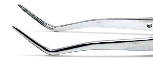 Meriam Foil Dental Cotton Tweezer Serrated Angled Beak Dressing Pliers Surgical Forcep Diagnostic Instruments #TOP2