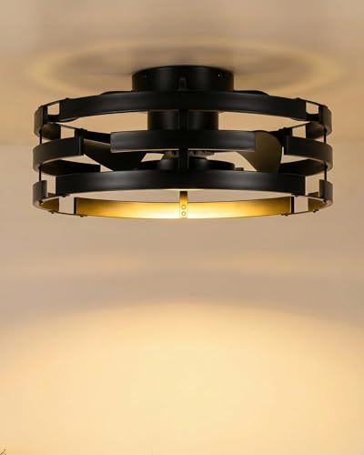 Image of Roomratv Fandelier Ceiling Fan with Light, 20 inch Flush Mount Metal Caged Enclosed Blades with Remote, Low Profile Farmhouse Fan Light for Bedroom Kitchen Living Room Office - Black