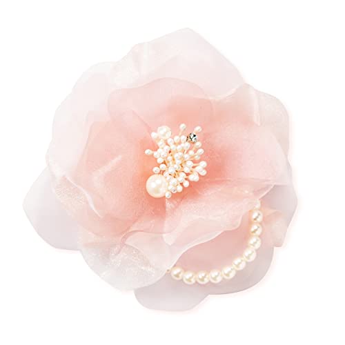 mcocomamnӂVtHƃp[̃RT[W   w Ǝ ̓  Zj[^RT[Wss2WAY^Cv(sN)