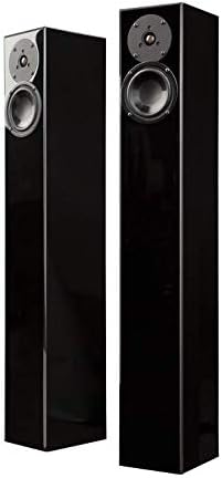 Amazon.com: Totem Acoustic Arro - Altavoz de pie, color negro : Electrónica