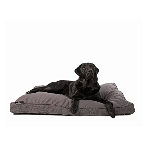 Funda para cama Lex & Max Prof de 90 x 65 cm gris recambio colchón perro 3