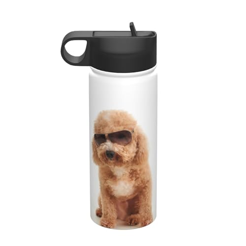 @r TOXgC v[h  530ml ^u[ XeX{g R[q[Jbv EH[^[{g Xg[t e ^fM ۉۗ q ʋ ʊw oR s X|[c 킢  v[g