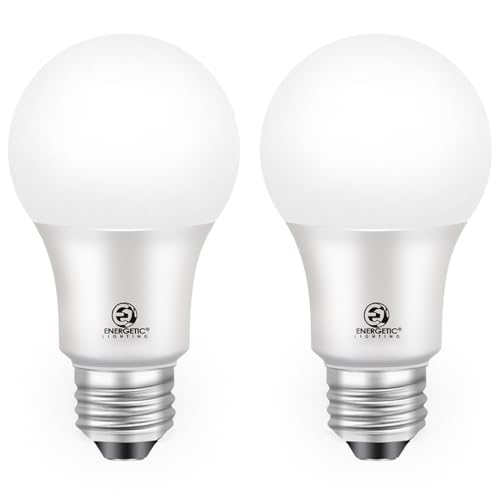 Energetic Dusk to Dawn LED Outdoor Bulb (2-Pack)