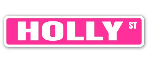 Holly Street Sign Childrens Name Room Sign | Indoor/Outdoor | 18" Wide