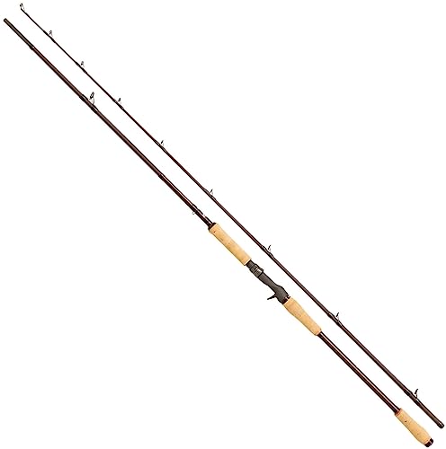 Abu Garcia Beast Pro - Canna da pesca