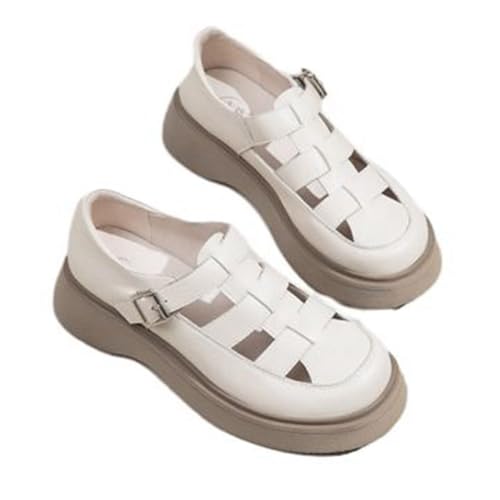 [GUREITOJP] OJT_ C fB[X OfBG[^[T_  T}[T_ h NbV y Xgbv JT Sn ₷ gh ItBX ʋΒʊw i s ėp 23.5 cm