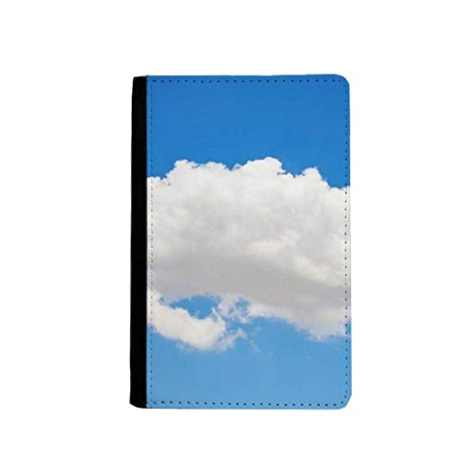 Portefeuille passeport pour l'aéroport et les vacances en famille