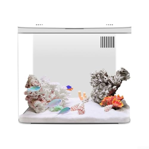 Jotekonoby Kit de iniciación de acuario, pecera pequeña de escritorio Betta con filtro de luz LED, ambiente ecológico para decoración del hogar, 20 x 20 x 14 cm (blanco)