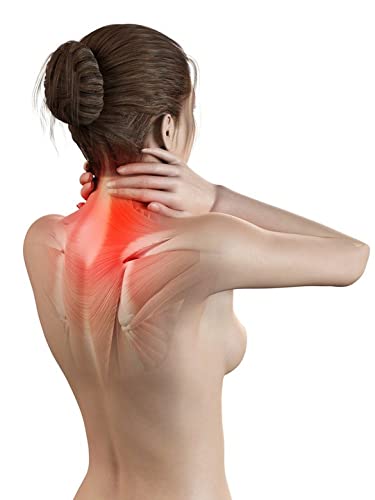 Gesunder Schlaf Buchweizenkissen Kissen mit Buchweizenschale mit Reißverschluss, Unterstützung der Halswirbelsäule, orthopädisches Naturkissen, mit Innen- und Außenkissenbezug (Natur-, 50 x 60 cm)
