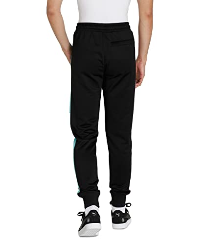 Image of Puma Men's Regular Track Pants