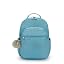 Aqua Tides Metallic
