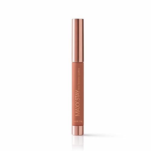 Image of Hilary Rhoda Maxx Stay Non Transfer Lipstick | Matte Finish & Transfer-Proof | 16-Hour Stay | Creamy Finish & Smudge Proof | Crayon Lipstick - 1.5g (Teracotta Dream - Shade 04)