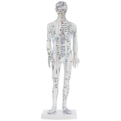 Modèle d'acupuncture OUNONA masculin en plastique pour apprendre la médecine