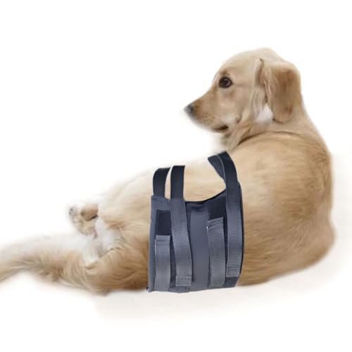 Image of Dog Therapy Ice Pack Pet Cold Hot Therapy Universal Gel Pack Therapy Compression Leg Wrap Pain Relief Arthritis Brace for Sprained Injured Joints Reduce Swelling