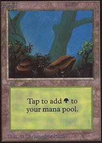 MTG 森 α PSA8 MTG 森 α PSA8 B)《森/Forest》[LEA] 土地 | 日本最大級 MTG