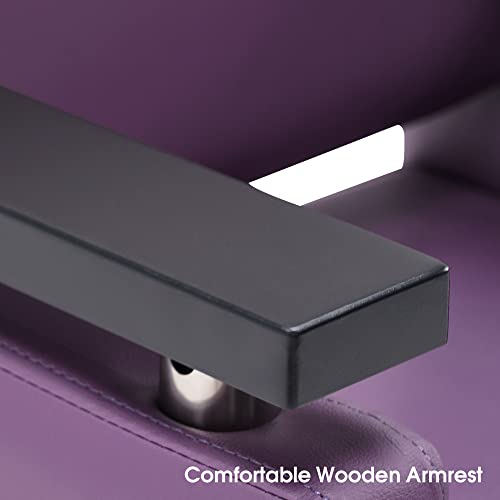 BarberPub-Classic-Hydraulic-Barber-Chair-Salon-Chair-Beauty-Spa-Styling-Salon-Equipment-8803-Purple