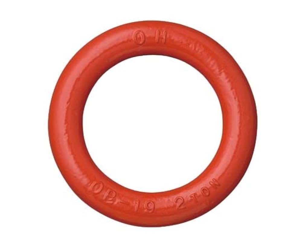 Amazon.co.jp: OH オーリング 1t OR-16 : DIY・工具・ガーデン