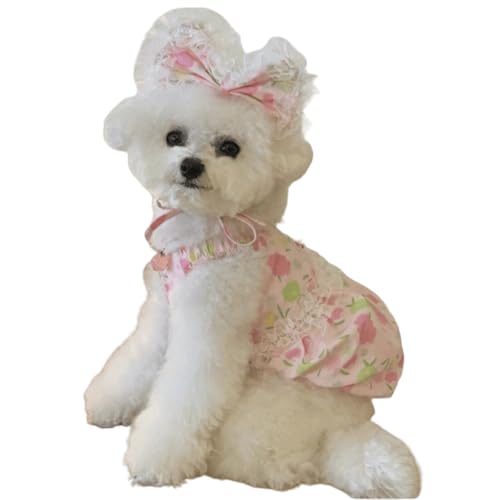 ���� �����s�[�X �t�ďH �h�b�O�E�F�A ���{���t�� 2�_�Z�b�g �h���X �ĕ� �t�� ���p�E�F�A �y�b�g�E�F�A �L���~�\�[�� �� �X�J�[�g ���[�X �p�[�e�B�[ ���^���p ���� ������� ���U�� ���o�|�� ���K �� (�s���N, XS)