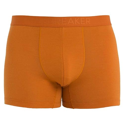 Icebreaker Merino Men's Anatomica Cool-lite Underwear-Boxers3