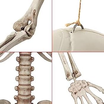 Amazon | JETKOUGEI ハロウィン 骸骨 飾り 165cm等身大 全身骨格