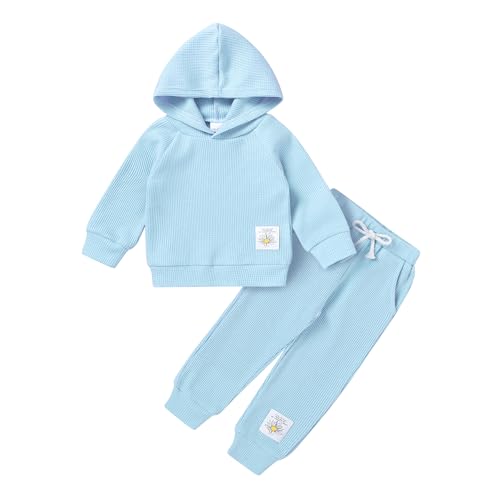 YOUNGER TREE Baby Girl Clothes Toddler Fall Winter Outfits Sweatshirt pants Sweatsuits for Infant Girl Baby Girl Clothing (Baby blue,18-24 Months)