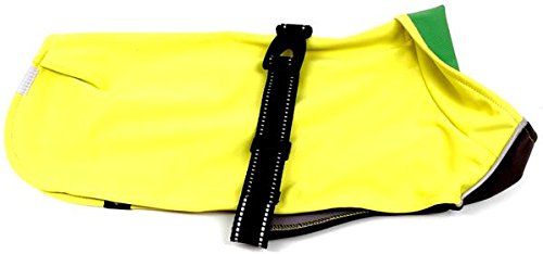 Rain Paw h I[V[Y hbOR[g - CG[ TCY26/28