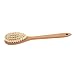 Iris Hantverk Oak and Horse Hair Bath Brush with Handle